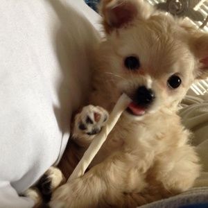 Meet your Posher, Christine